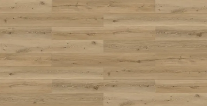 Ravello Megaclic Santerra Ravello (MCST-2311) AC5 waterproof laminate plank flooring in a cool-leaning light greige oak tone with rustic grain, close-up